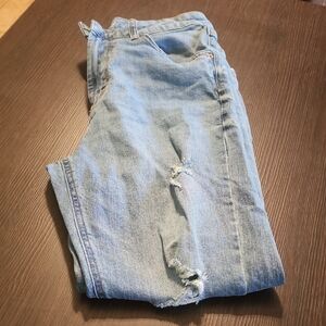 Wild Fable Light Blue Distressed Jeans